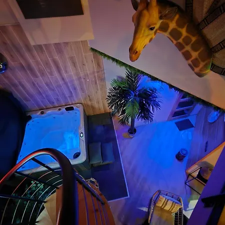Safari شقة