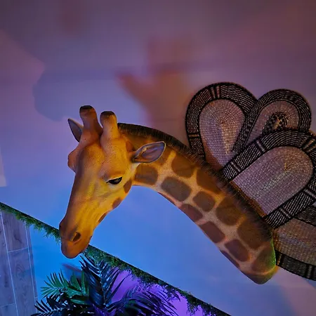 Safari Διαμέρισμα Solesmes (Nord)