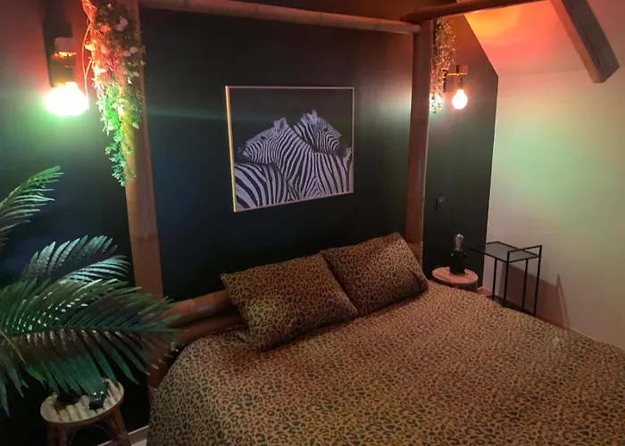 Safari Appartement Solesmes (Nord)